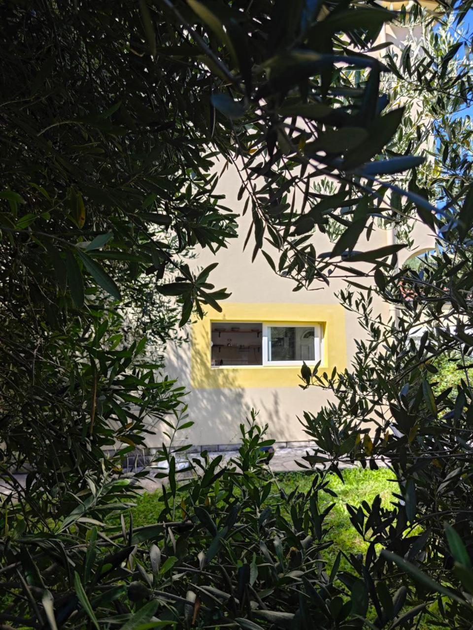 Apartmani Radovic Биела Экстерьер фото